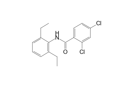 2,4-dichloro-2',6'-diethylbenzanilide