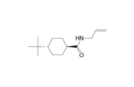 trans-4-tert-Butyl-N-allylcyclohexanecarboxamide