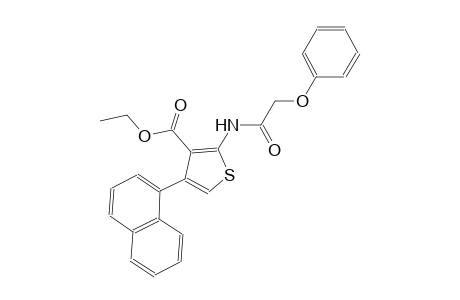 ethyl 4-(1-naphthyl)-2-[(phenoxyacetyl)amino]-3-thiophenecarboxylate