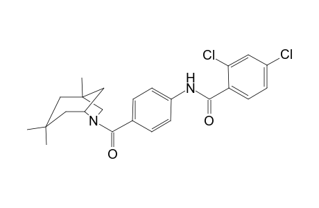 2,4-bis(chloranyl)-N-[4-[(3,3,5-trimethyl-7-azabicyclo[3.2.1]octan-7-yl)carbonyl]phenyl]benzamide