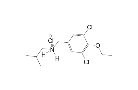 N-(3,5-dichloro-4-ethoxybenzyl)-2-methyl-1-propanaminium chloride