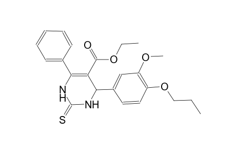 ethyl 4-(3-methoxy-4-propoxyphenyl)-6-phenyl-2-thioxo-1,2,3,4-tetrahydro-5-pyrimidinecarboxylate