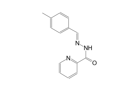 N'-[(E)-(4-methylphenyl)methylidene]-2-pyridinecarbohydrazide