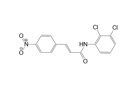 (2E)-N-(2,3-dichlorophenyl)-3-(4-nitrophenyl)-2-propenamide