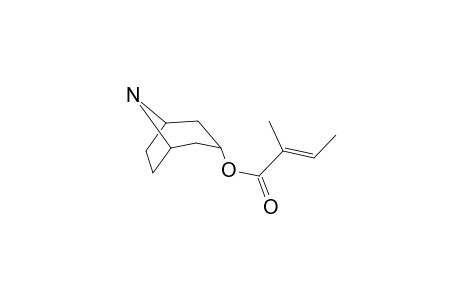 3.alpha.-Tigloyloxynortropane