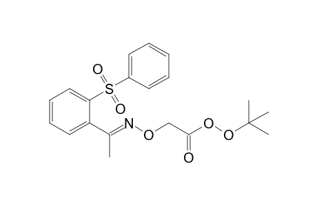 2-[(E)-1-(2-besylphenyl)ethylideneamino]oxyperacetic acid tert-butyl ester