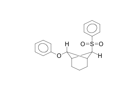 7-ENDO-PHENOXY-6-EXO-PHENYLSULPHONYLNORPINANE