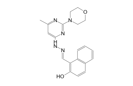 2-hydroxy-1-naphthaldehyde [6-methyl-2-(4-morpholinyl)-4-pyrimidinyl]hydrazone
