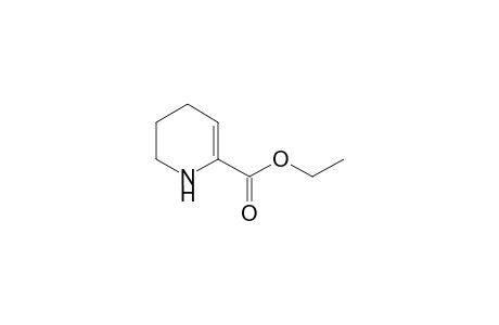 1,2,3,4-tetrahydropyridine-6-carboxylic acid ethyl ester