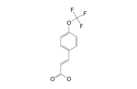 (E)-3-[4-(TRIFLUOROMETHOXY)-PHENYL]-PROP-2-ENOIC_ACID