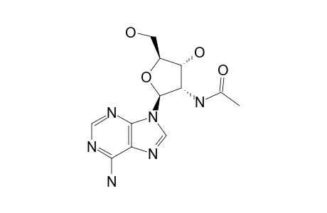 2'-ACETAMIDO-2'-DEOXYADENOSINE