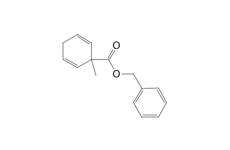 (phenylmethyl) 1-methylcyclohexa-2,5-diene-1-carboxylate