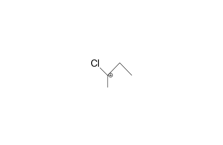 2-Chloro-2-butyl cation