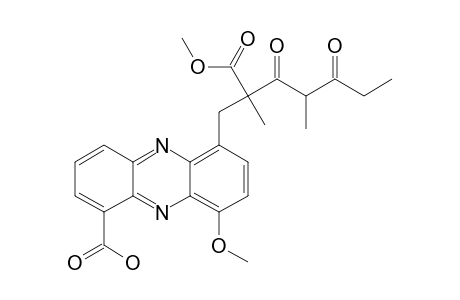 ISOMER_1