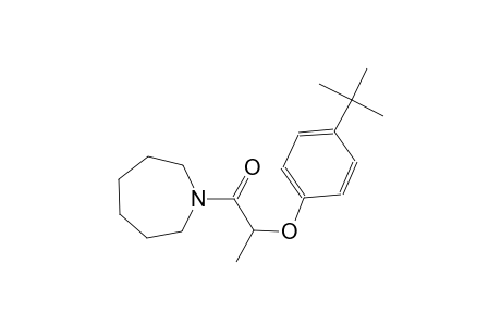 4-tert-butylphenyl 2-hexahydro-1H-azepin-1-yl-1-methyl-2-oxoethyl ether