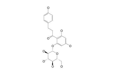 Phlorizin