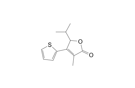 3-Methyl-5-(1-methylethyl)-4-thiophen-2-ylfuran-2(5H)-one