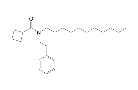 Cyclobutanecarboxamide, N-(2-phenylethyl)-N-undecyl-