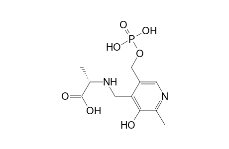 (2S)-2-[[2-methyl-3-oxidanyl-5-(phosphonooxymethyl)pyridin-4-yl]methylamino]propanoic acid