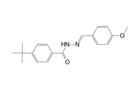 4-tert-butyl-N'-[(E)-(4-methoxyphenyl)methylidene]benzohydrazide