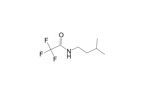 Acetamide, 2,2,2-trifluoro-N-isopentyl-