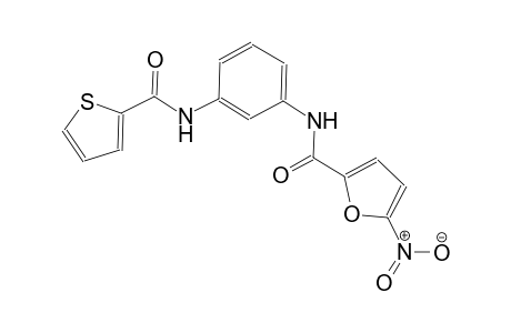 5-nitro-N-{3-[(2-thienylcarbonyl)amino]phenyl}-2-furamide