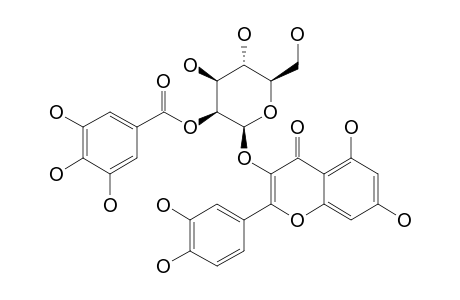 QUERCETIN-3-O-(2''-GALLOYL)-BETA-D-GALACTOPYRANOSIDE