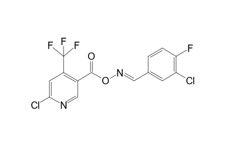Pyridine-3-carboxylic acid, 6-chloro-4-trifluoromethyl-, 3-chloro-4-fluorobenzylidenamino ester