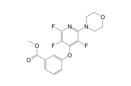 benzoic acid, 3-[[2,3,5-trifluoro-6-(4-morpholinyl)-4-pyridinyl]oxy]-, methyl ester