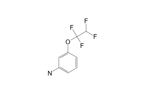1-AMINO-3-(1,1,2,2-TETRAFLUOROETHOXY)-BENZENE