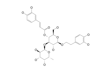 1'-O-BETA-(3,4-DIHYDROXYPHENYL)-ETHYL-4'-O-CAFFEOYL-ALPHA-L-FUCOPYRANOSYL-(1->3')-D-GLUCOPYRANOSIDE