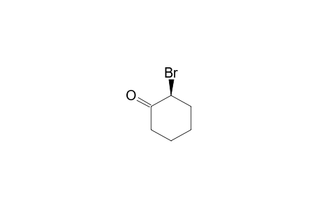 (2R)-2-BROMOCYCLOHEXANONE