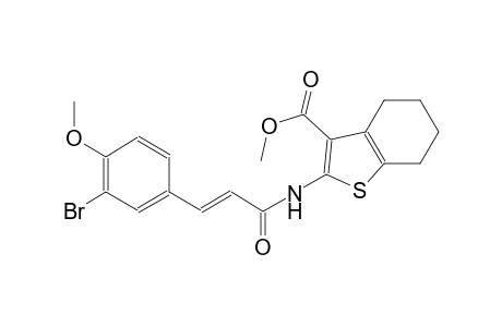 benzo[b]thiophene-3-carboxylic acid, 2-[[(2E)-3-(3-bromo-4-methoxyphenyl)-1-oxo-2-propenyl]amino]-4,5,6,7-tetrahydro-, methyl ester