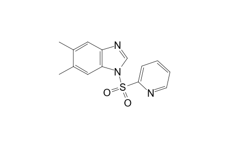 5,6-dimethyl-1-(2-pyridylsulfonyl)benzimidazole