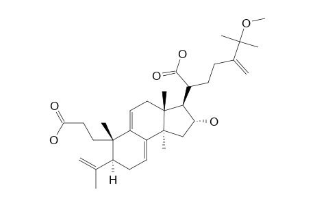 25-METHOXYPORICOIC_ACID_A;(20-ZETA)-16-ALPHA-HYDROXY-25-METHOXY-24-METHYL-3,4-SECO-LANOSTA-4-(28),7,9-(11),24-(24-(1))-TETRAENE-3,21-DIOIC_ACID