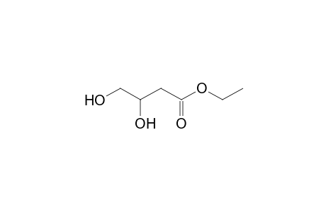 Ethyl 3,4-dihydroxybutanoate