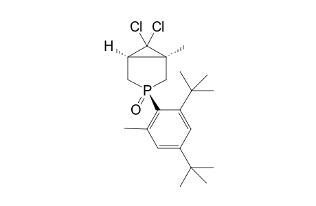 (1R,3R,5S)-6,6-Dichloro-3-(2,4-di-tert-butyl-6-methyl-phenyl)-1-methyl-3-phospha-bicyclo[3.1.0]hexane
