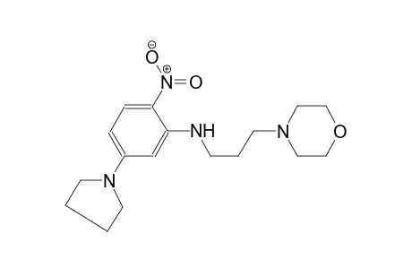 N-[3-(4-morpholinyl)propyl]-2-nitro-5-(1-pyrrolidinyl)aniline