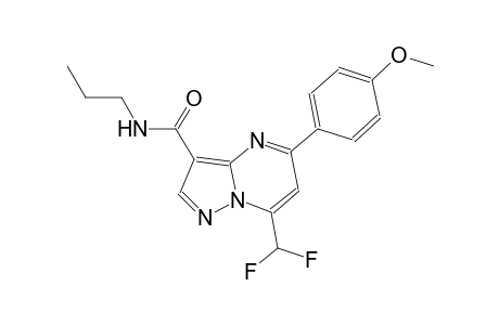 7-(difluoromethyl)-5-(4-methoxyphenyl)-N-propylpyrazolo[1,5-a]pyrimidine-3-carboxamide