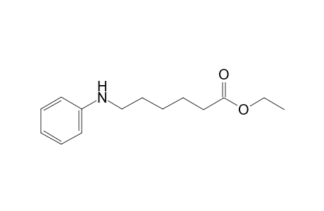 Ethyl 6-(phenylamino)hexanoate