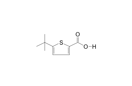 5-tert-Butyl-2-thiophenecarboxylic acid