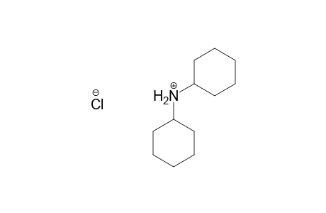 Cyclohexanamine, N-cyclohexyl-, hydrochloride, salt