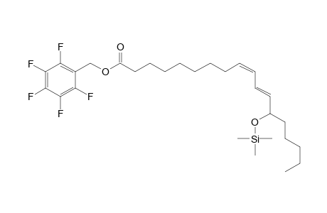 13-hydroxy-(9Z,11E)-octadecadienoic acid, PFB,TMS derivative