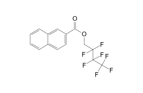 2-Naphthoic acid, 2,2,3,3,4,4,4-heptafluorobutyl ester