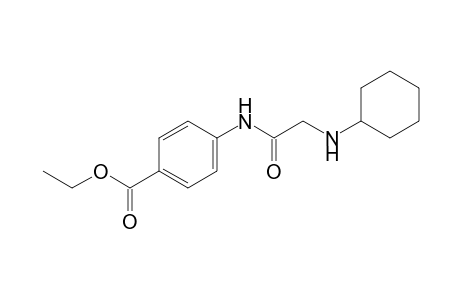 p-(2-cyclohexylaminoacetamido)benzoic acid, ethyl ester