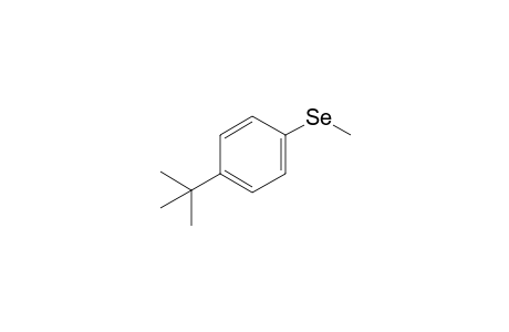 1-tert-butyl-4-methylselanylbenzene
