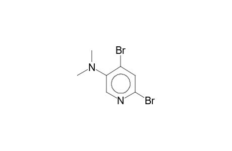 2,4-dibromo-5-dimethylaminopyridine