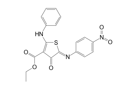 5-(4-Nitro-phenylimino)-4-oxo-2-phenylamino-4,5-dihydro-thiophene-3-carboxylic acid ethyl ester