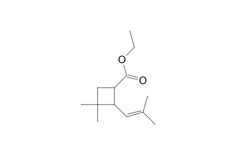 Cyclobutanecarboxylic acid, 3,3-dimethyl-2-(2-methyl-1-propenyl)-, ethyl ester, cis-(.+-.)-