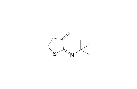 t-Butyl(3-methylenedihydrothiophen-2-ylidene)amine